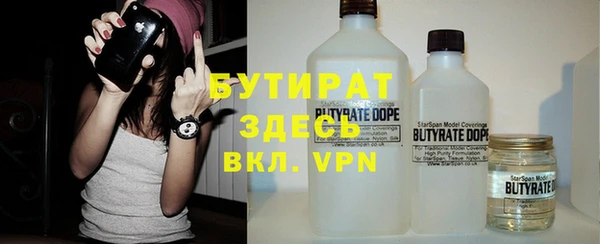 шишки Надым
