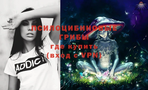 apvp Новокубанск