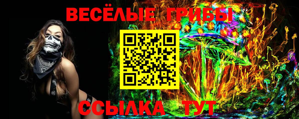 Коммунар  Галлюциногенные грибы мицелий  как найти   Вход с VPN 
