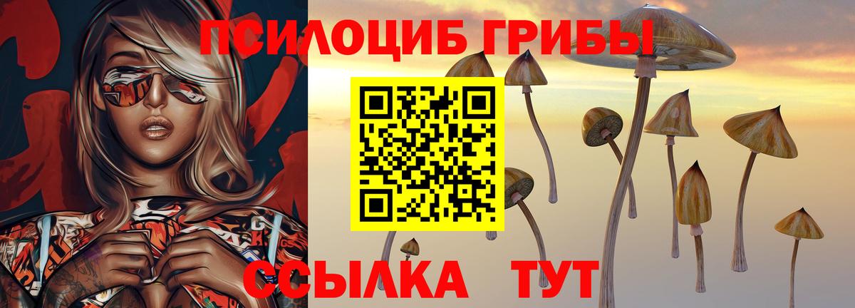 Псилоцибиновые грибы ЛСД Коммунар